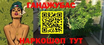 стаф Пушкино